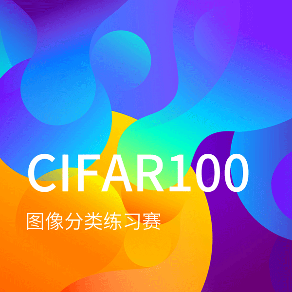 CIFAR100种图片分类练习赛